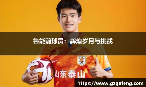 鲁能前球员：辉煌岁月与挑战