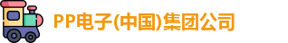 PP电子